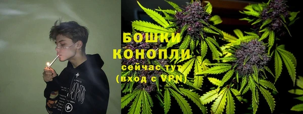 СК Горнозаводск