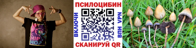 Псилоцибиновые грибы GOLDEN TEACHER  Купить закладки  Удомля 